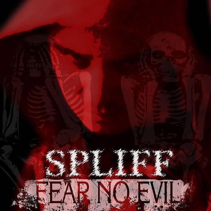 Cover image for Fear No Evil