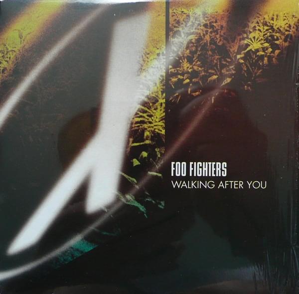 Album cover art for "Walking after You (Single Version)" by Foo Fighters