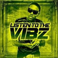 Cover image for Listen to the Vibz