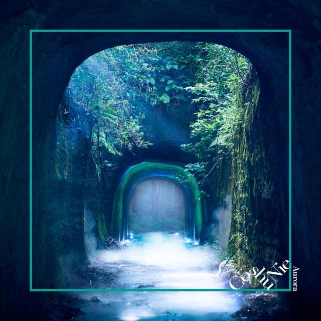Album cover art for "Asphyxia (Piano Ver.)" by Cö shu Nie