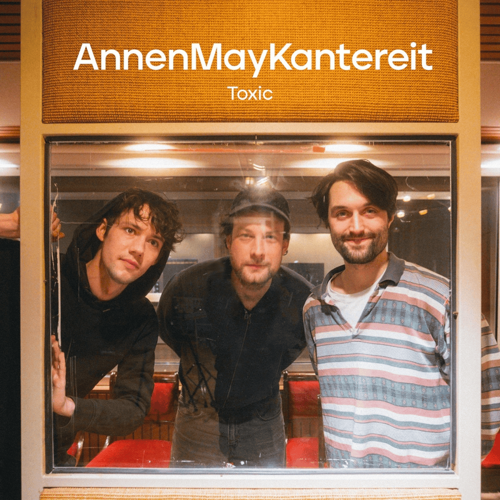 Album cover art for "Toxic" by AnnenMayKantereit