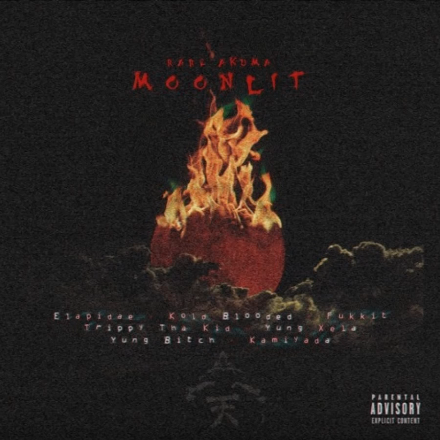 Album cover art for "MOONLIT" by RARE AKUMA & ELAPIDAE & Kamiyada+ & Beex & Yung Xela & TrippyThaKid & Fukkit & Kold-Blooded