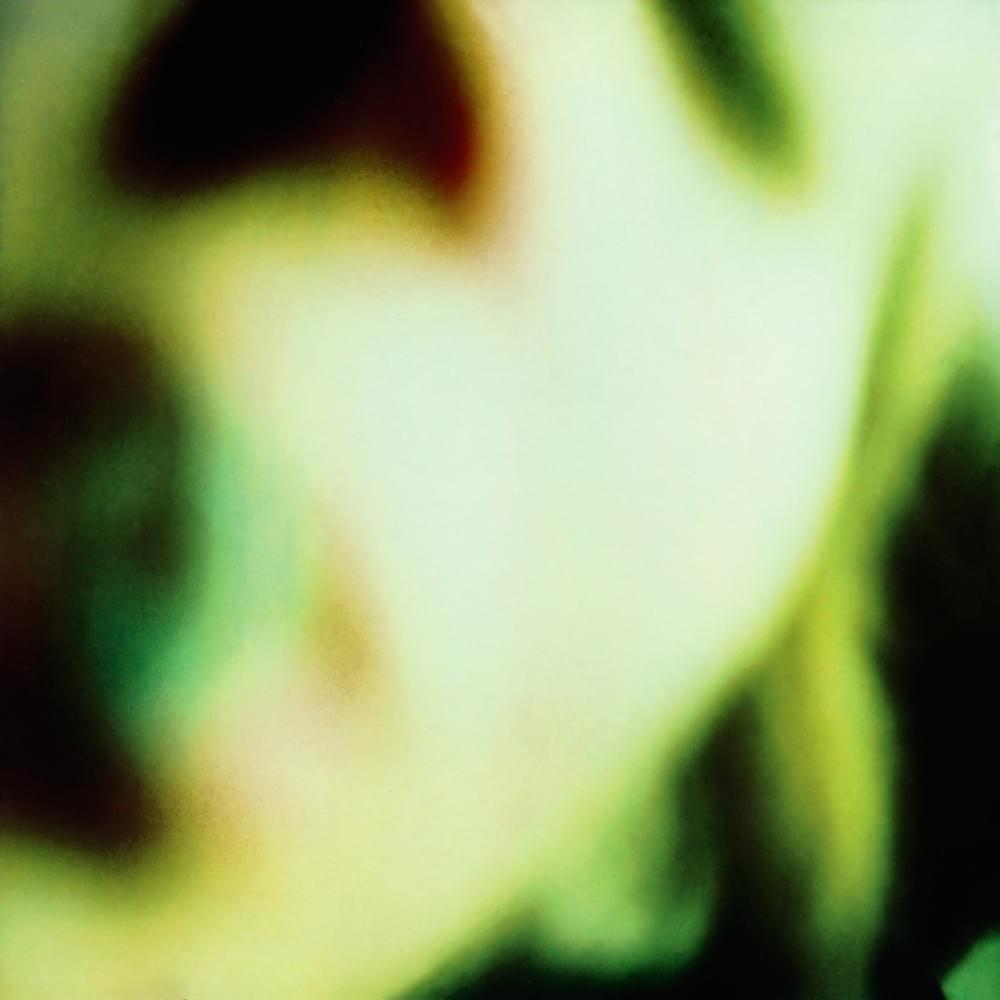 Cover image for Pisces Iscariot