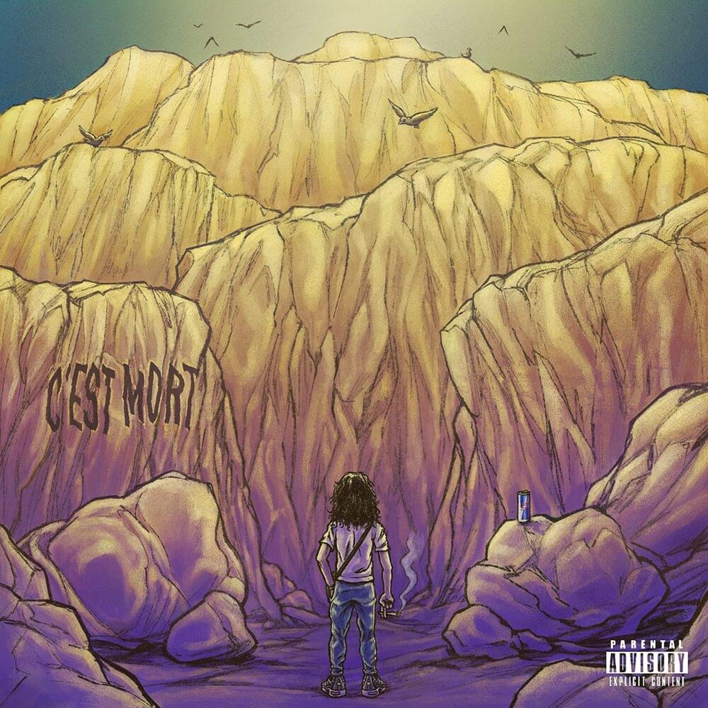 Album cover art for "C’est mort" by Kvmsyto