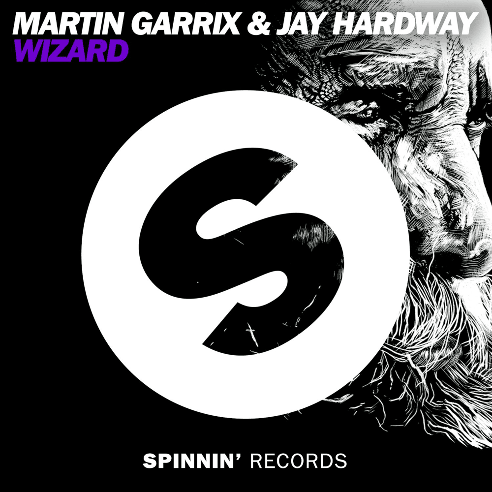 Album cover art for "Wizard" by Martin Garrix