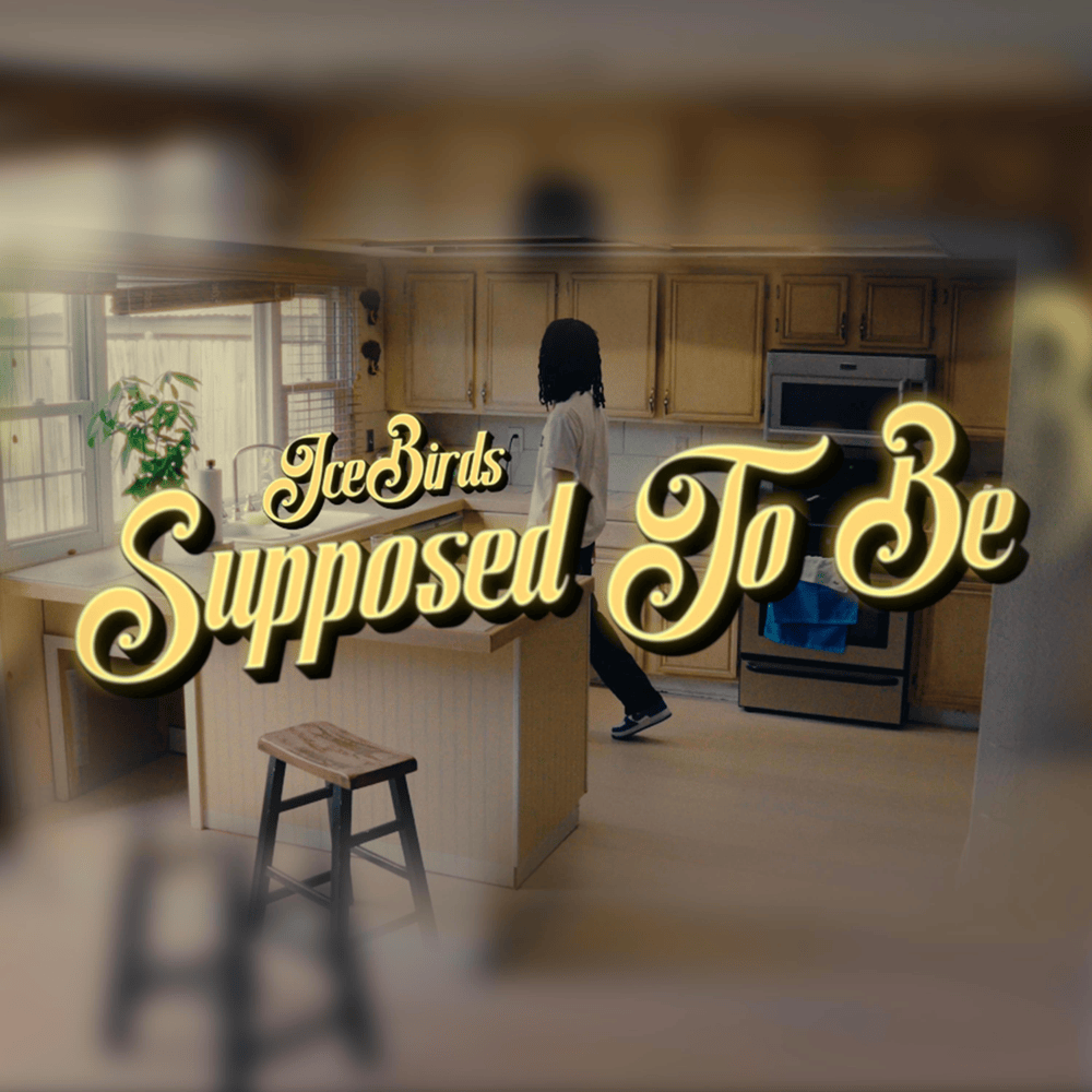 Album cover art for "Supposed To Be" by IceBirds