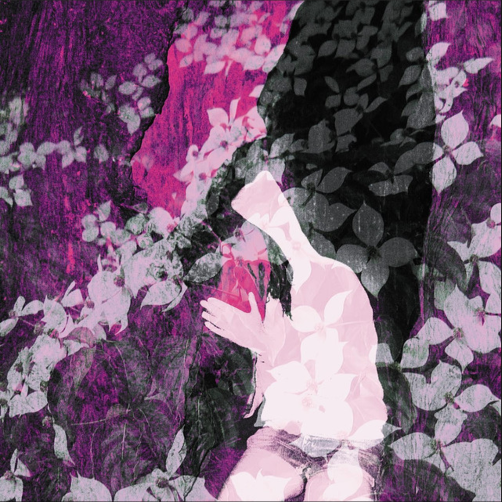 Album cover art for "Came Out of a Lady" by Rubblebucket