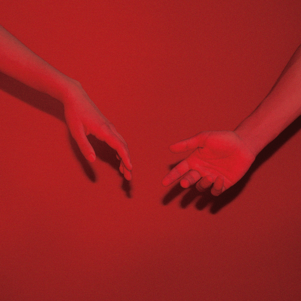 Cover image for Delusión