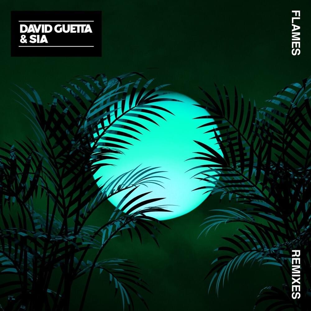 Cover image for Flames (Remixes)