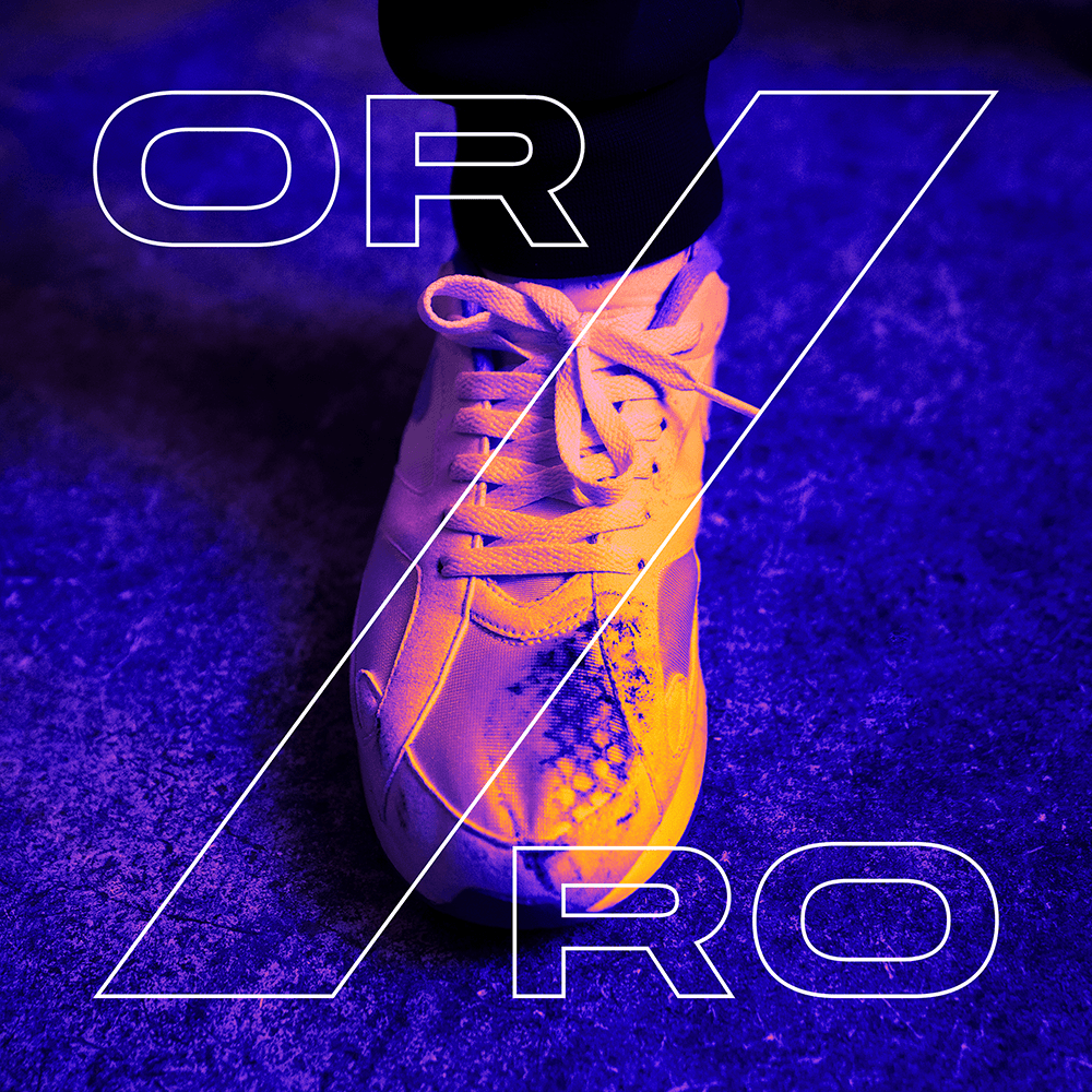 Album cover art for "Zorro" by Sokół