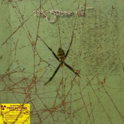 Album cover art for "PDX_SPIDER_BITE" by ERIC NORTH