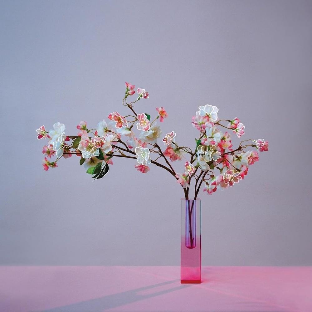 Cover image for plum blossom (revisited)