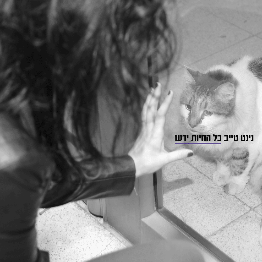 17 Shniyot - 17 שניות by Ninet Tayeb - נינט טייב