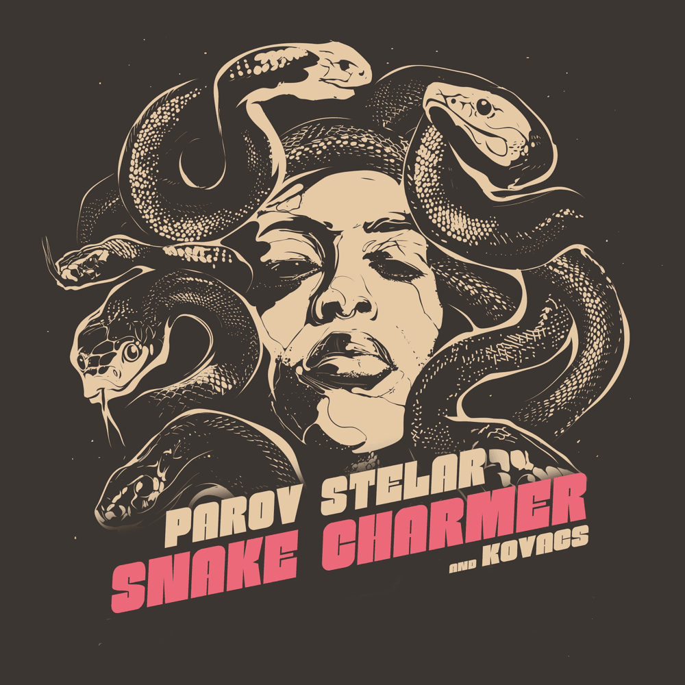 Cover image for Snake Charmer (Single)