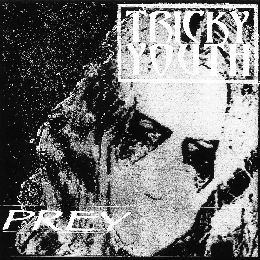 Cover image for Prey