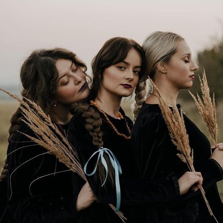 Cover image for Tulia