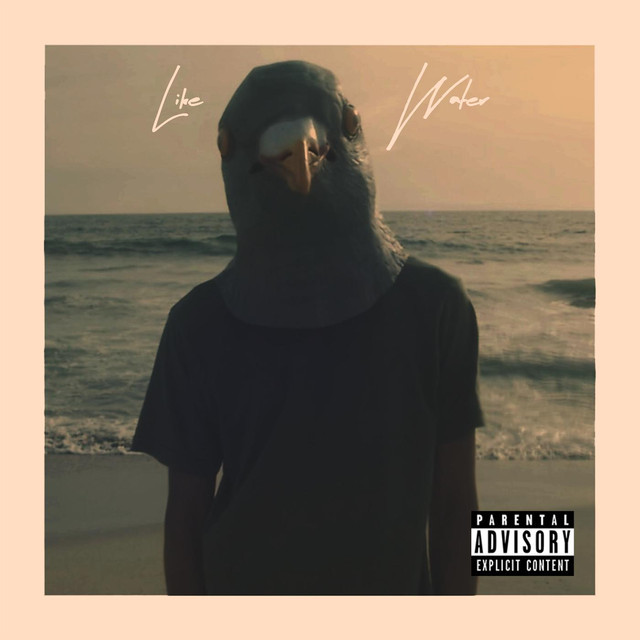 Album cover art for "Like Water" by Kota the Friend