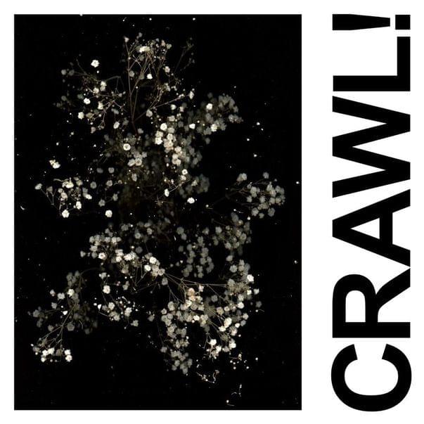 Album cover art for "Crawl!" by IDLES