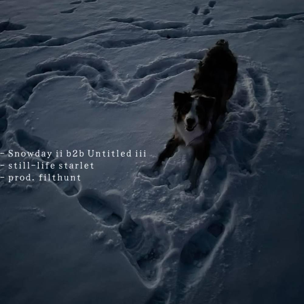 Album cover art for "Snowday ii b2b Untitled iii" by ghostholding