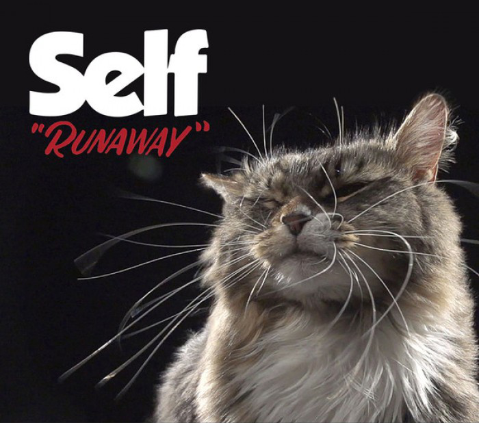 Album cover art for "Runaway" by sElf