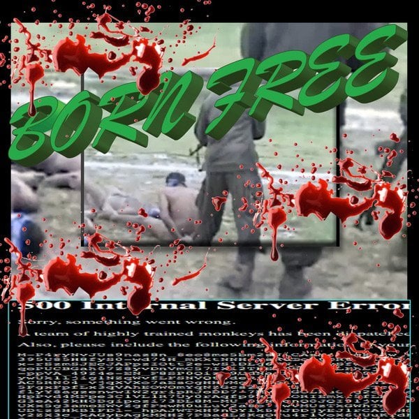 Album cover art for "BORN FREE" by M.I.A.