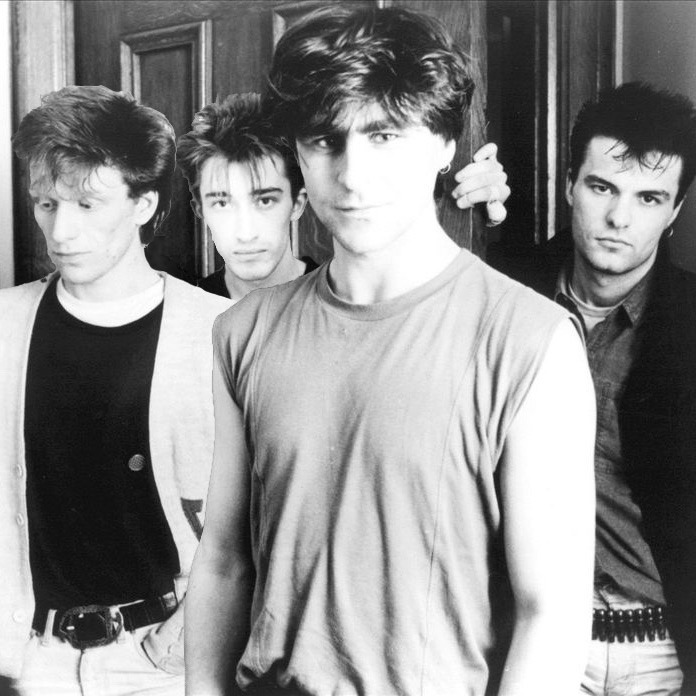 Cover image for The Chameleons