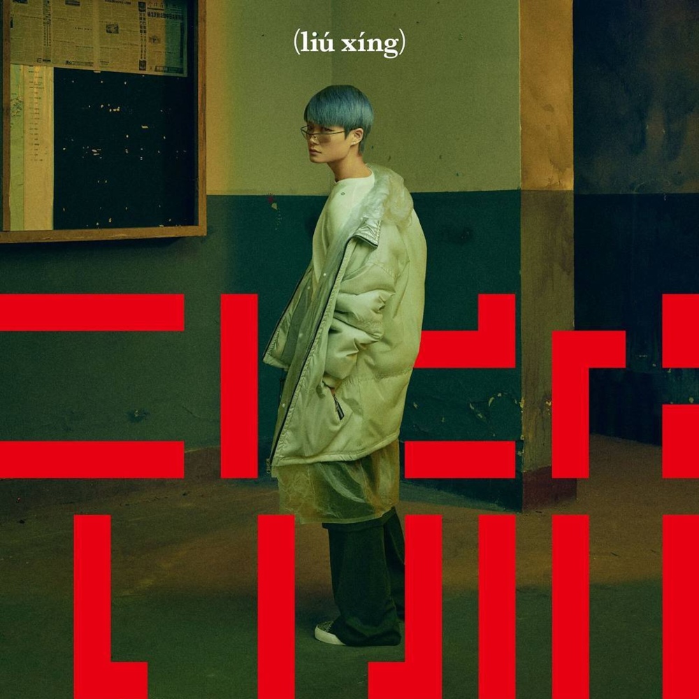 Cover image for Liu Xing