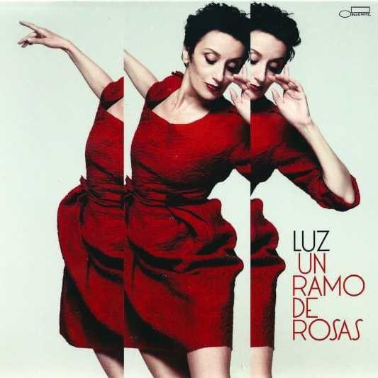 Cover image for Un Ramo de Rosas