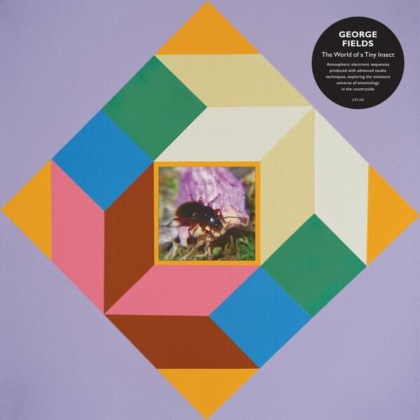 Album cover art for "Dragonfly" by George Fields