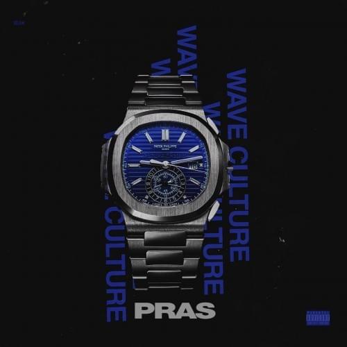 Cover image for Wave Culture