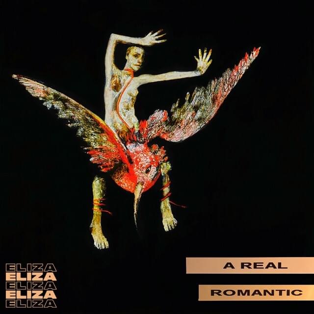Cover image for A Real Romantic
