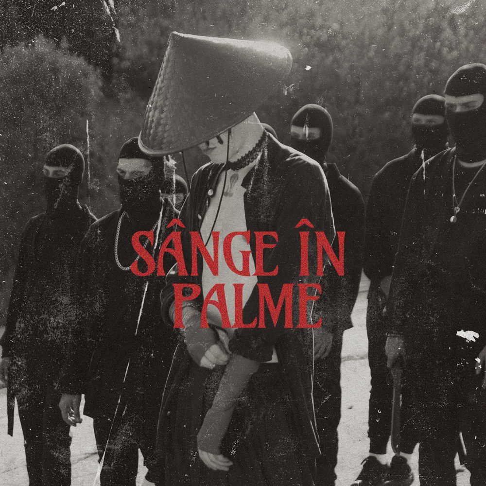 Album cover art for "S�nge �n palme" by Killa Fonic