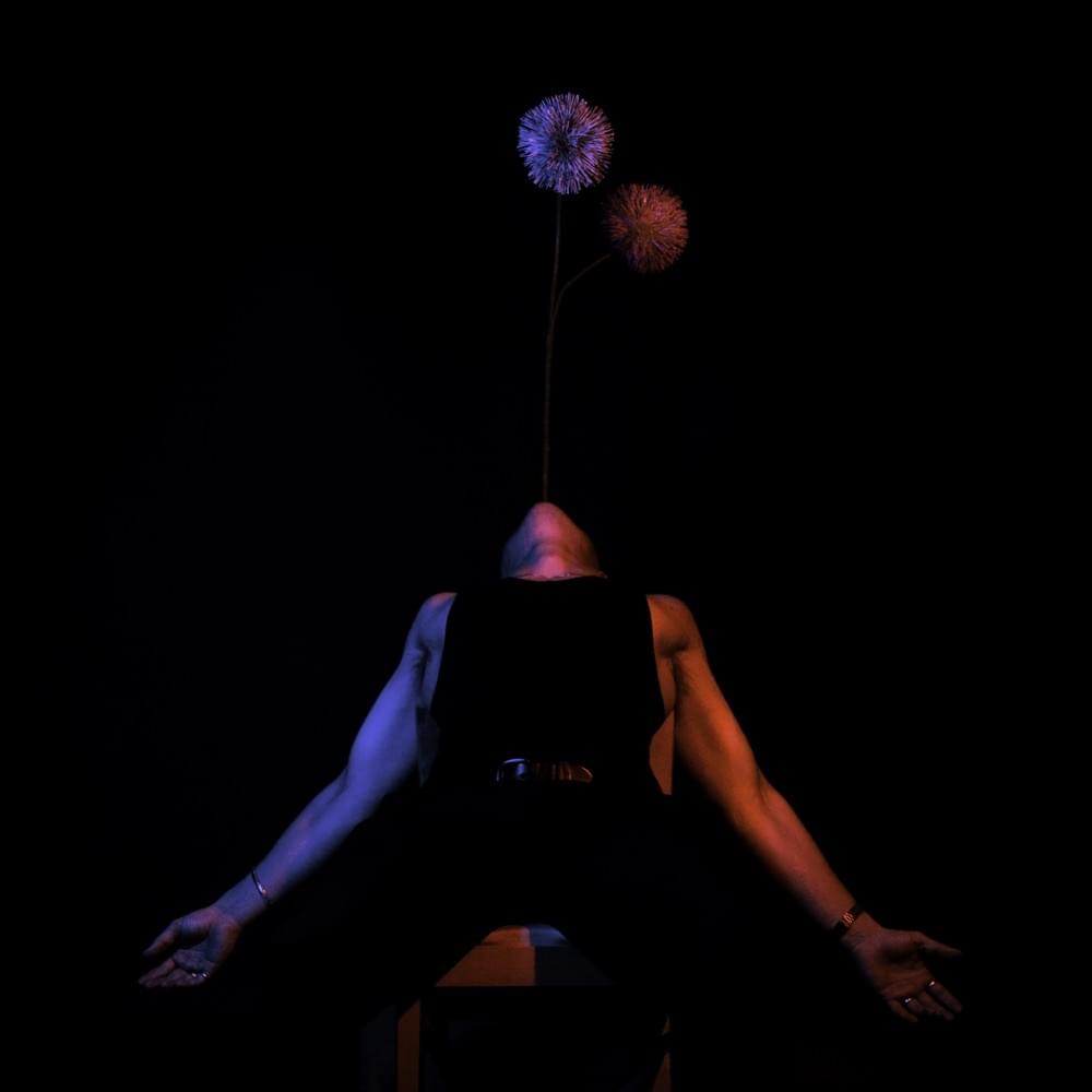 Album cover art for "MIGRAINES" by Nerve
