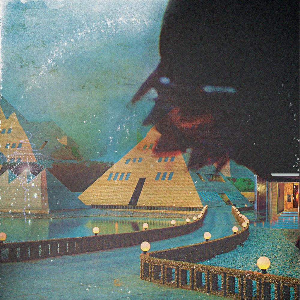 Album cover art for "Feedback Delicates" by Vinyl Williams