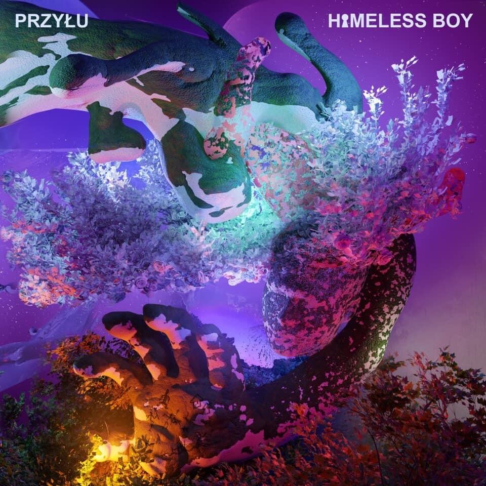 Cover image for HOMELESS BOY