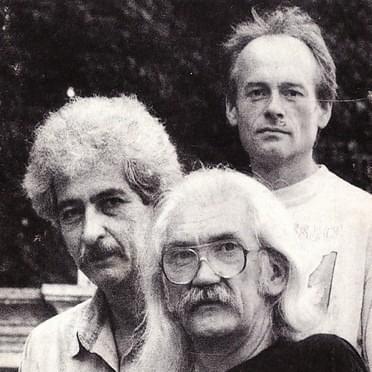 Cover image for Tolcsvayék és a Trió