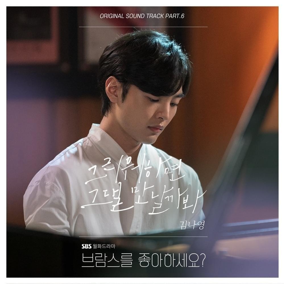 Cover image for 브람스를 좋아하세요? OST (Do You Like Brahms? Original Television Soundtrack) Part 6