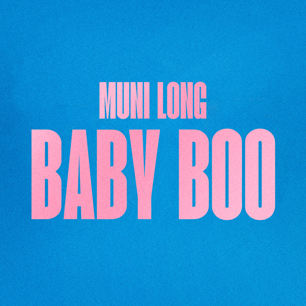 Cover image for Baby Boo