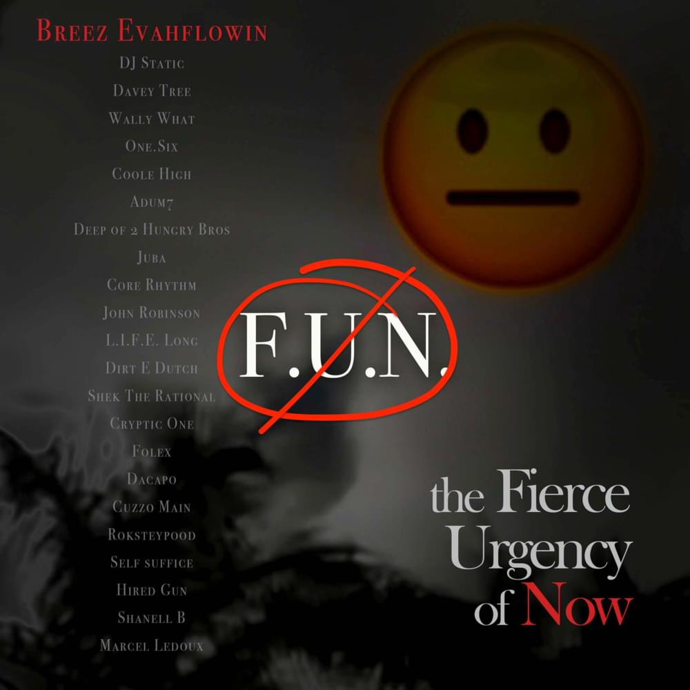 Cover image for F.U.N.😐: the Fierce Urgency of Now