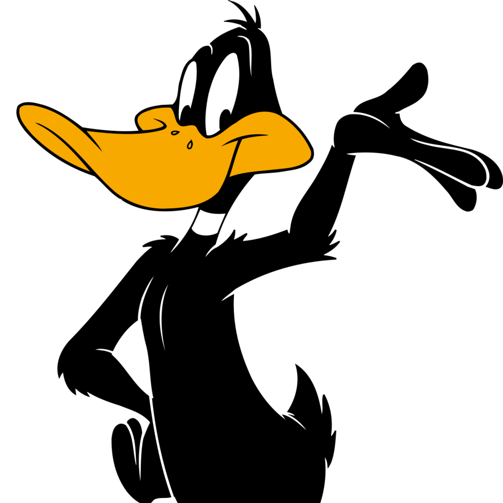 Photo of Daffy Duck