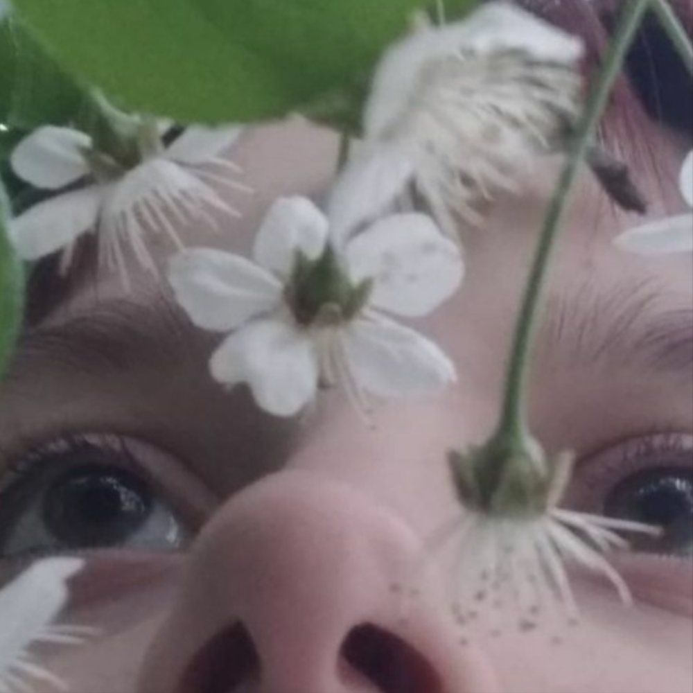 Cover image for vogliamo solo esprimerci :/
