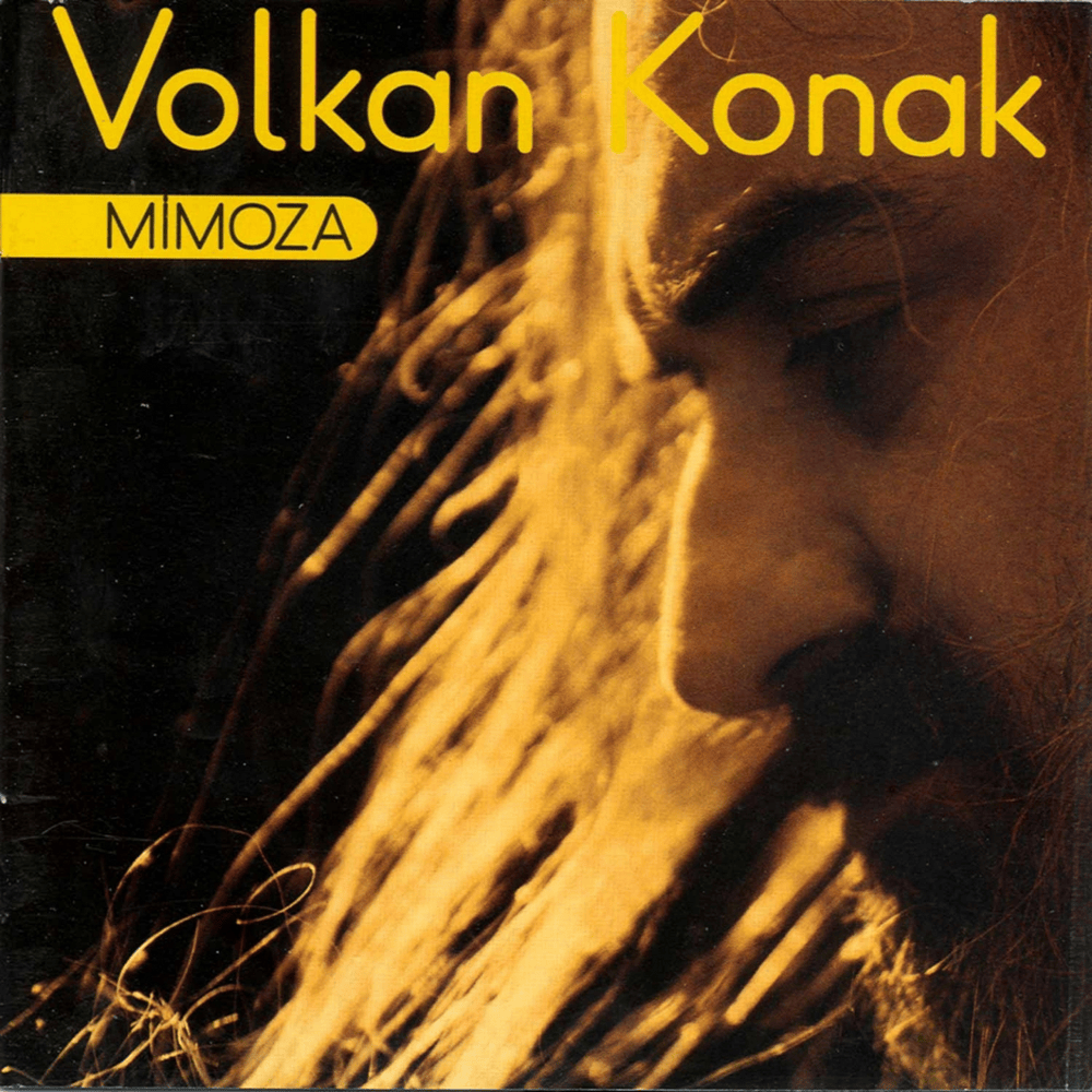 Mimoza Çiçeğim by Volkan Konak