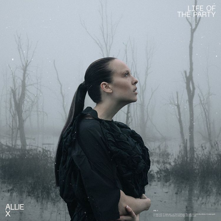 Album cover art for "Life of the Party" by Allie X