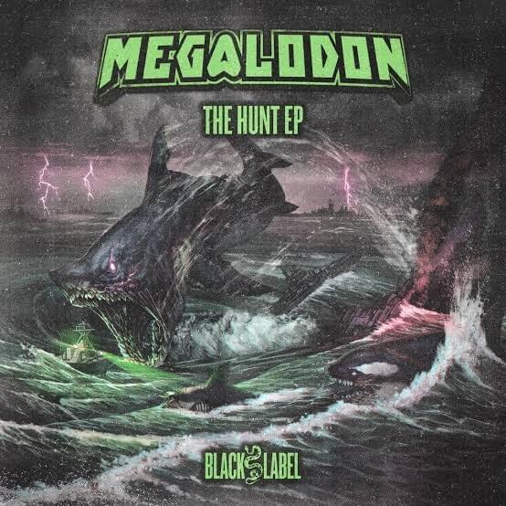 Dolphin Flex by Megalodon