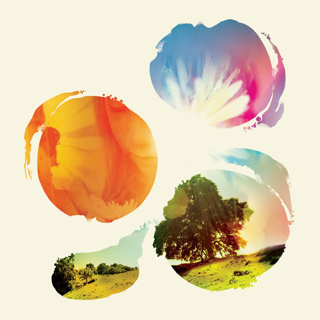 Cover image for Past Is Prologue