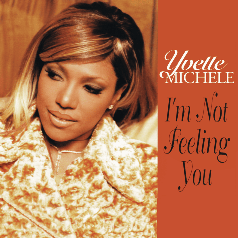 Album cover art for "I’m Not Feeling You" by DJ Clue