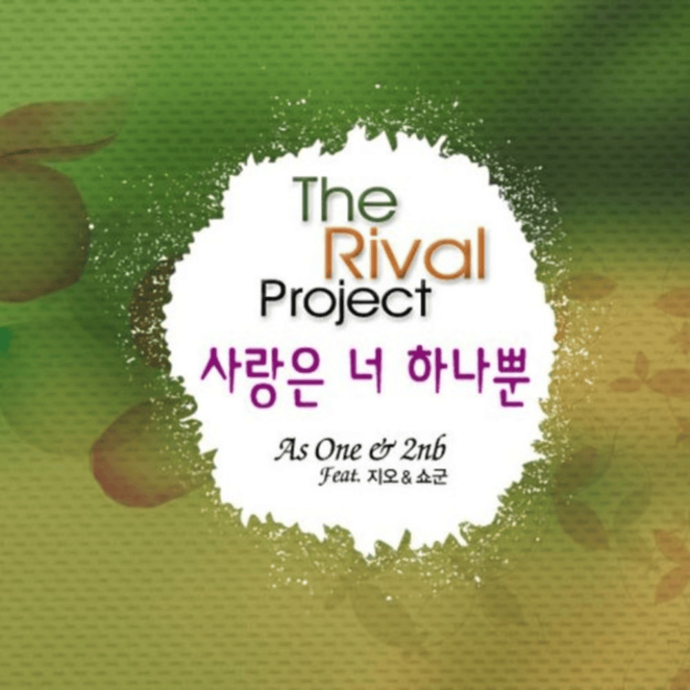 You are a fool (바보야) by Solji