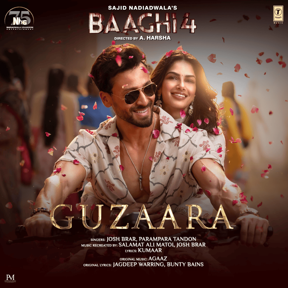 Album cover art for "Guzaara" by Josh Brar