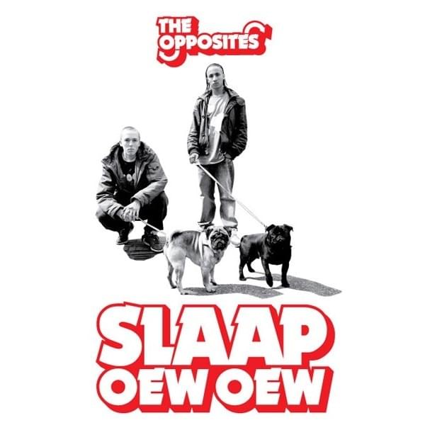 Cover image for Slaap / Oew Oew