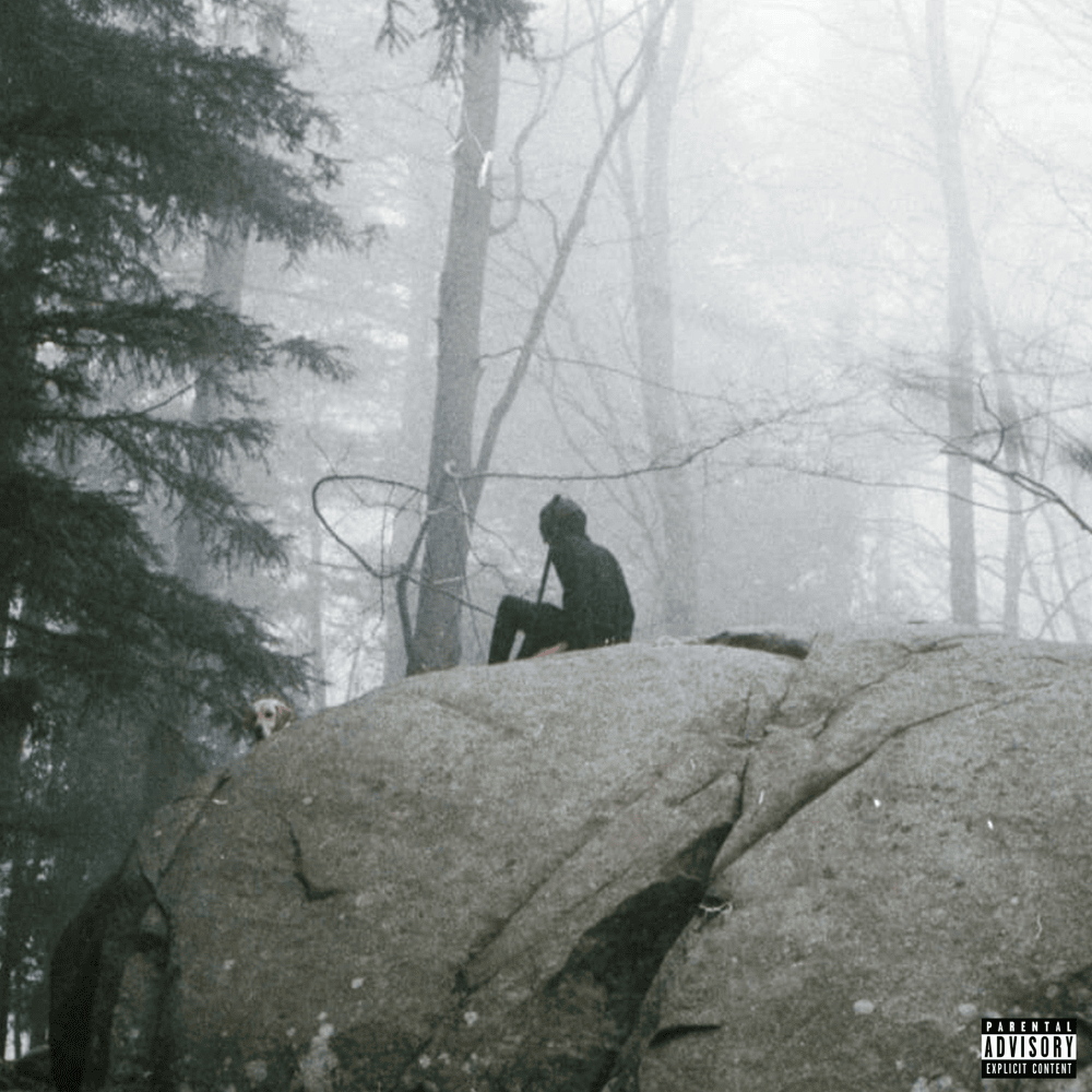 Album cover art for "spacex" by Rojuu